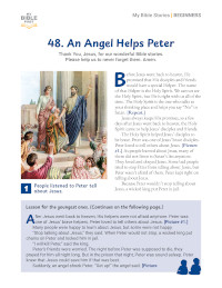 Beginners Bible Lessons (indiv. weekly)