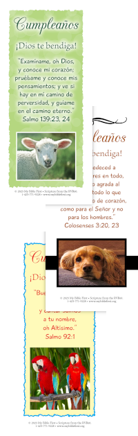 Spanish Bookmarks: Birthday Set of 20