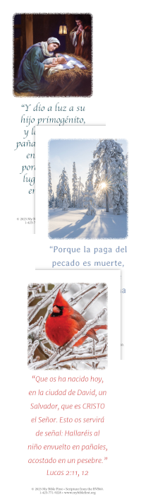 Spanish Bookmarks: Christmas Set of 20