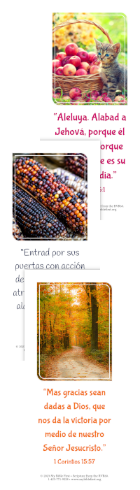 Spanish Bookmarks: Thanksgiving Set of 20