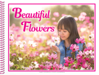 Visualized Song: Beautiful Flowers 